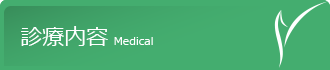 診療内容 Medical
